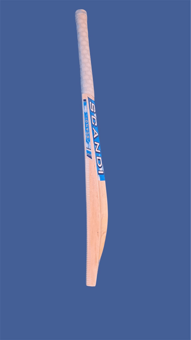 Arctic Cricket Bat
