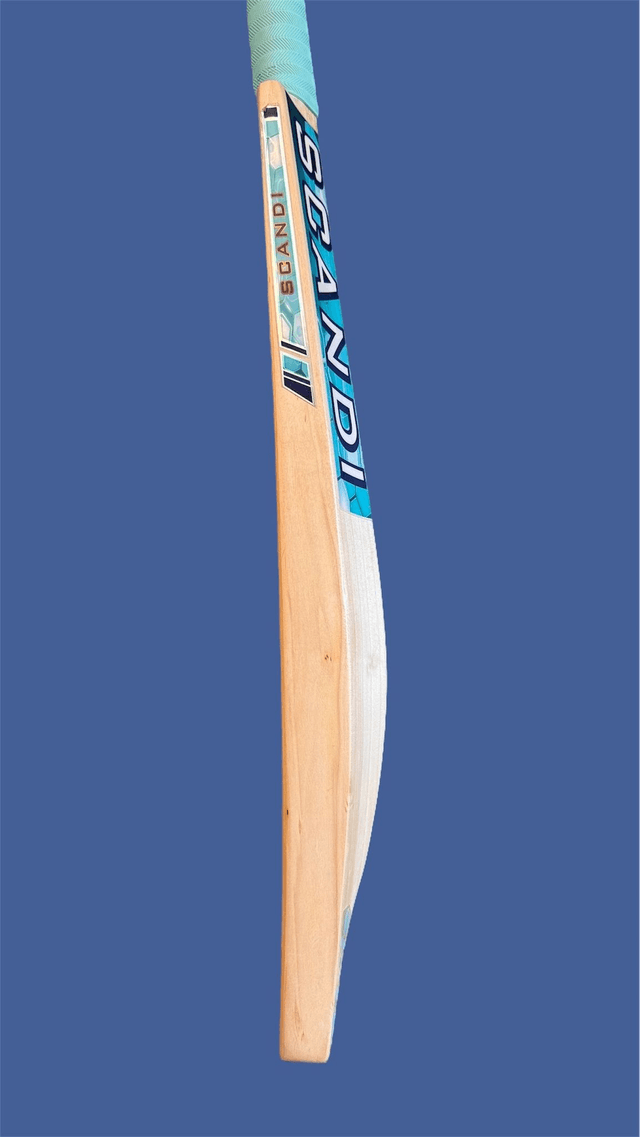 Aurora Cricket Bat